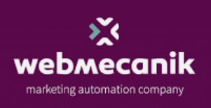 Web mechanic Automation
